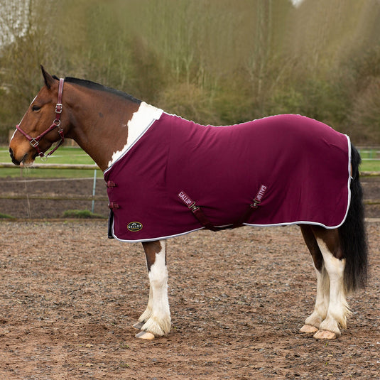 Gallop Ponie Tiddlywinks Jersey Cooler Rug Burg/White/Grey