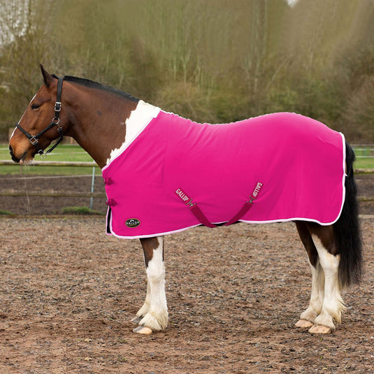 Gallop Premium Jersey Cooler Rug Fuchsia/White/Pink