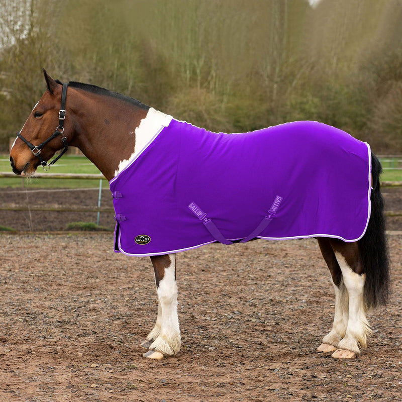 Load image into Gallery viewer, Gallop Ponie Tiddlywinks Jersey Cooler Rug Purp/Wht/Lav
