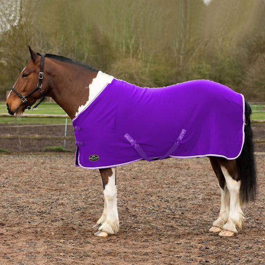 Gallop Premium Jersey Cooler Rug Purple/Wht/Lavender