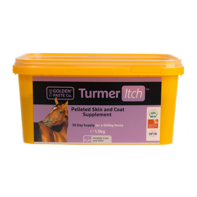 Golden Paste Company Turmeritch
