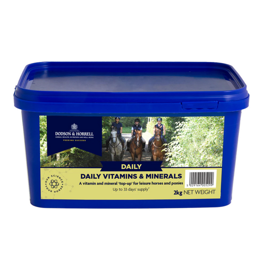 D&H Daily Vitamins & Minerals