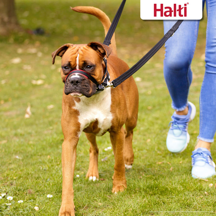Halti Optifit Black