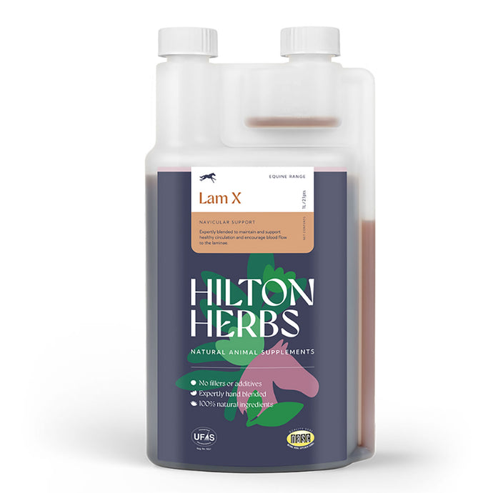 Hilton Herbs Nav X Gold