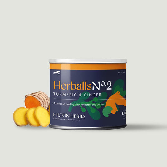 Hilton Herbs Herballs No2 Turmeric & Ginger