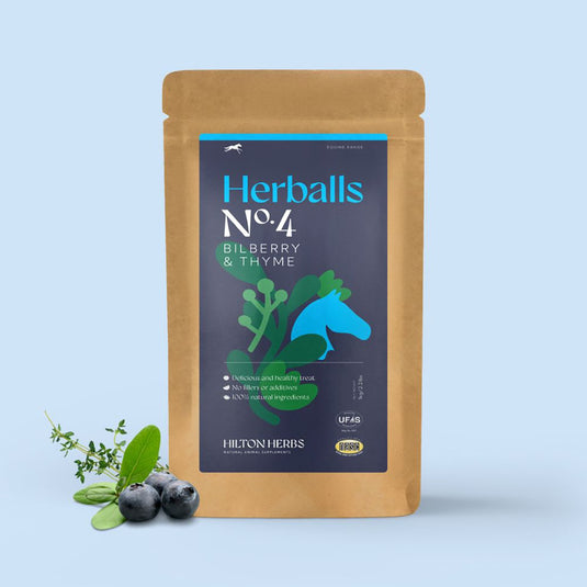 Hilton Herbs Herballs No4 Bilberry & Thyme