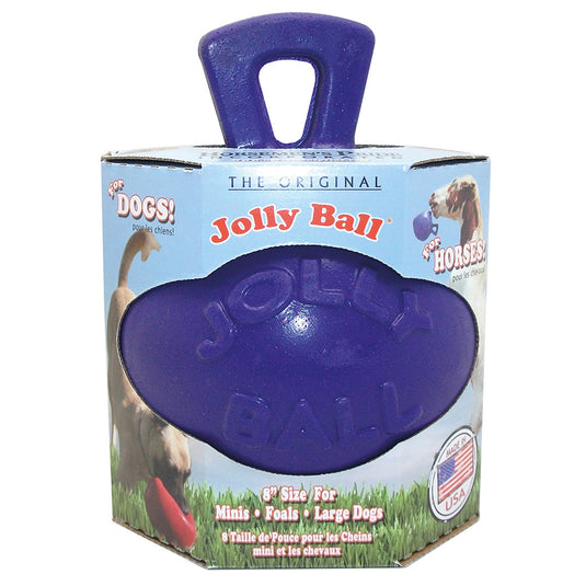 Jolly Pets Dual Jolly Ball Purple