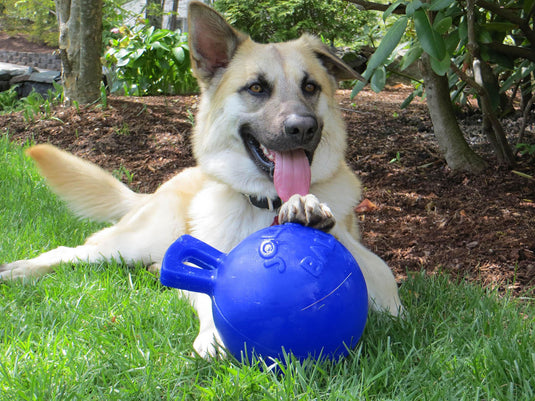 Jolly Pets Tug N Toss Blue