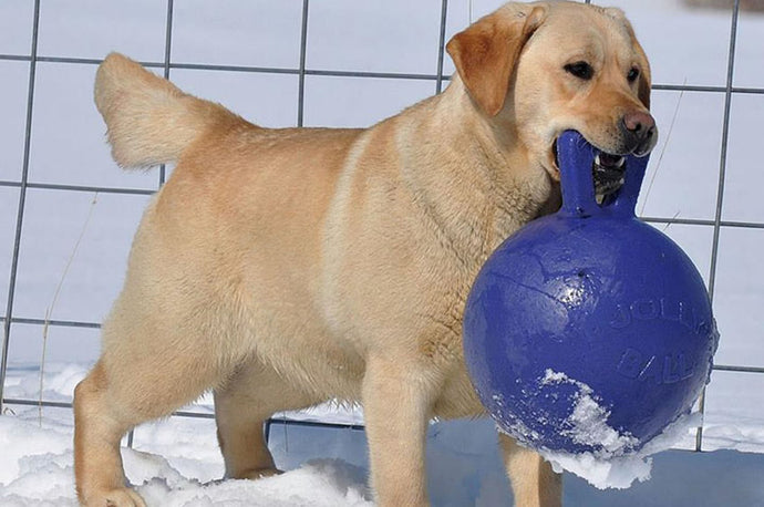 Jolly Pets Tug N Toss Purple