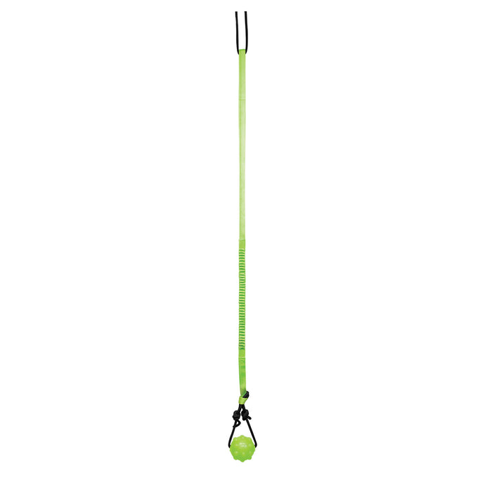 Jolly Pets Tree Tugger
