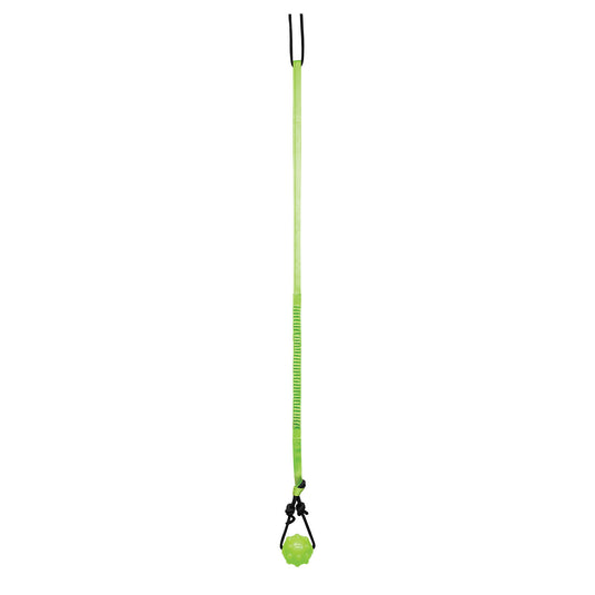 Jolly Pets Tree Tugger