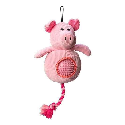 House Of Paws Cord Toy Withspiky Ball