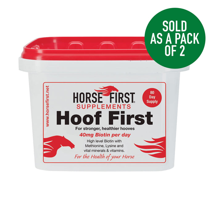 Horse First Hoof First