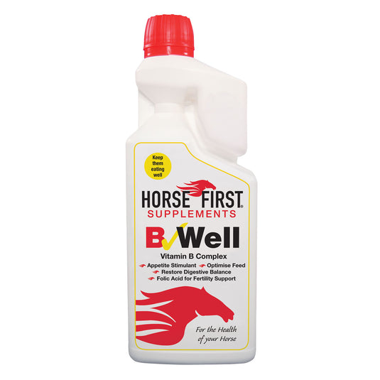Horse First B Well