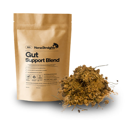 Horse Straight Direct Gut Support Blend