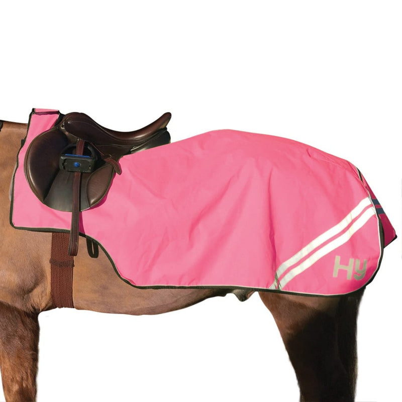 Load image into Gallery viewer, Reflector Fleece Exercise Sheet Pink
