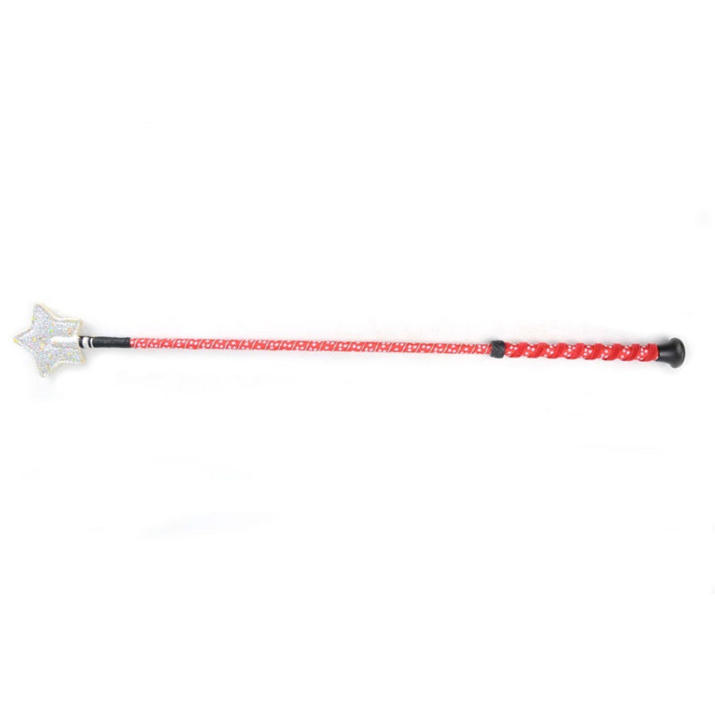 Load image into Gallery viewer, Hy Equestrian Spiral Star Riding Whip
