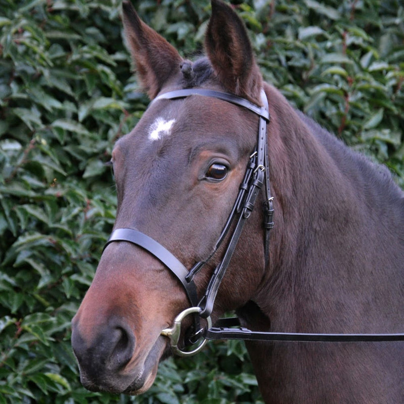 Load image into Gallery viewer, Hy Equestrian Hunter Bridle With Rubber Grip Reins Black
