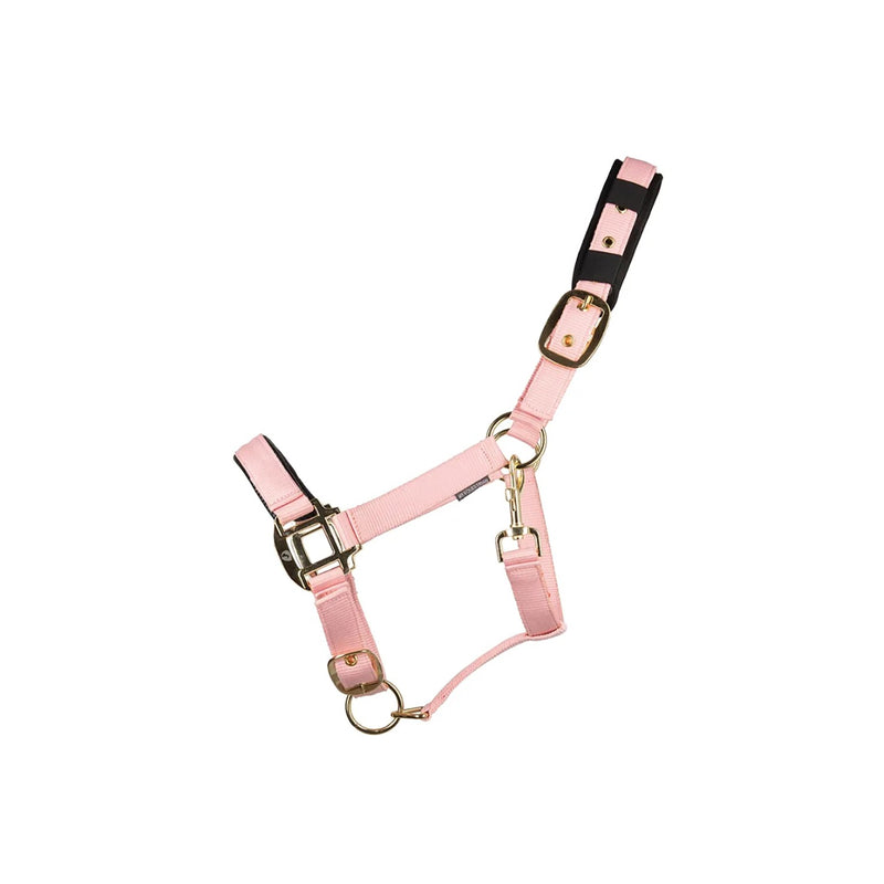 Load image into Gallery viewer, Hy Equestrian Deluxe Padded Headcollar Hot Pink
