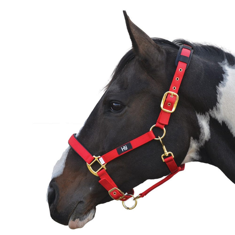Load image into Gallery viewer, Hy Equestrian Deluxe Padded Headcollar Red
