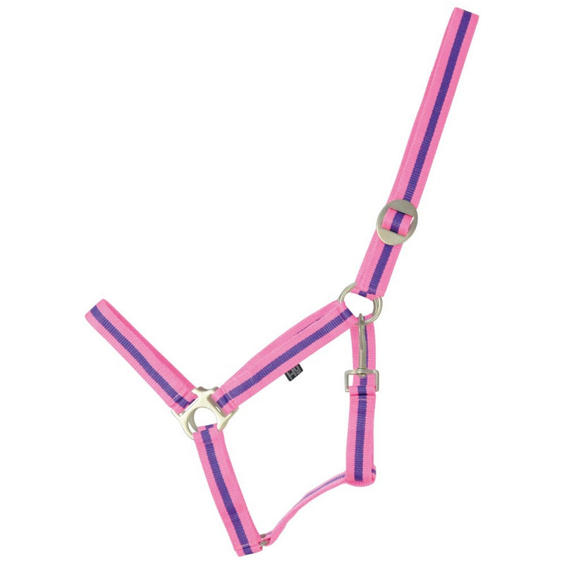 Load image into Gallery viewer, Hy Equestrian Duo Headcollar Pink/Purple
