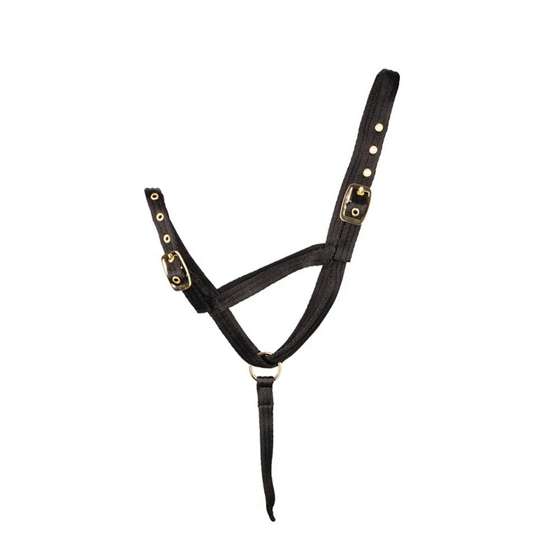 Load image into Gallery viewer, Hy Equestrian Foal Slip Halter
