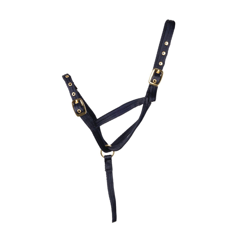 Load image into Gallery viewer, Hy Equestrian Foal Slip Halter
