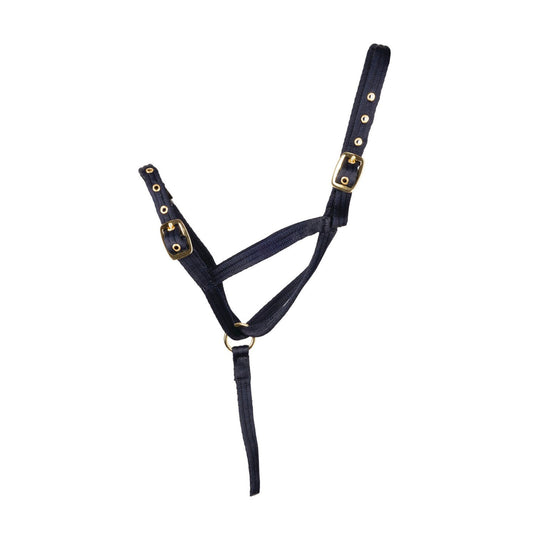Hy Equestrian Foal Slip Halter