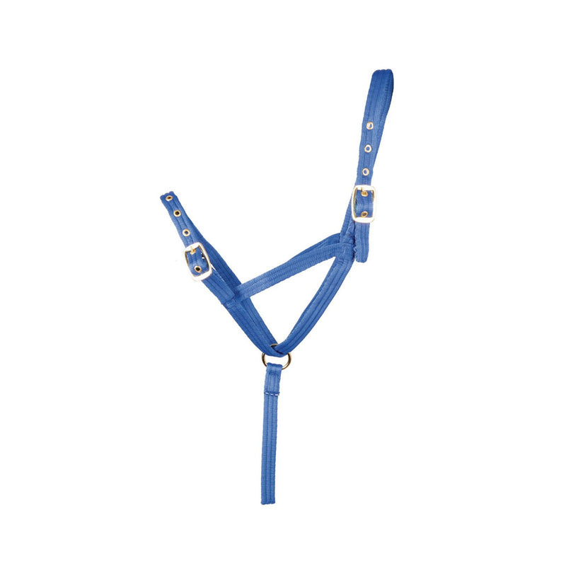 Load image into Gallery viewer, Hy Equestrian Foal Slip Halter
