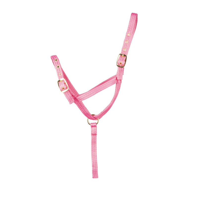 Load image into Gallery viewer, Hy Equestrian Foal Slip Halter

