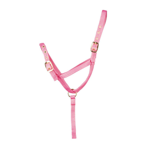 Hy Equestrian Foal Slip Halter