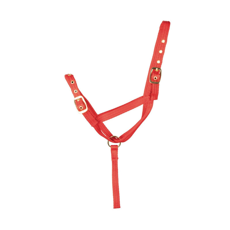 Load image into Gallery viewer, Hy Equestrian Foal Slip Halter

