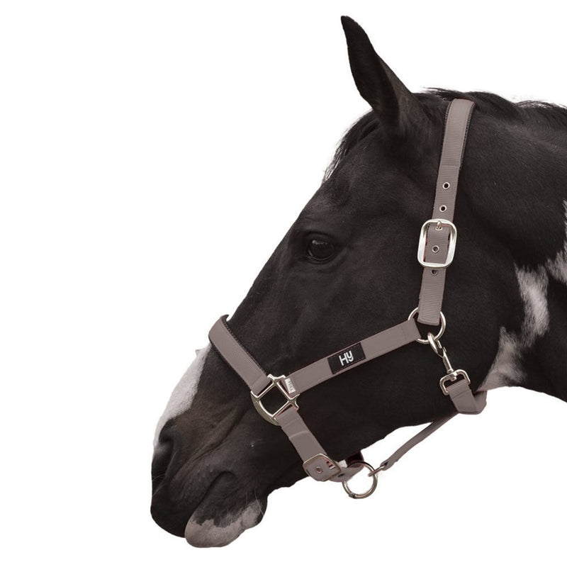 Load image into Gallery viewer, Hy Equestrian Grand Prix Headcollar Grey
