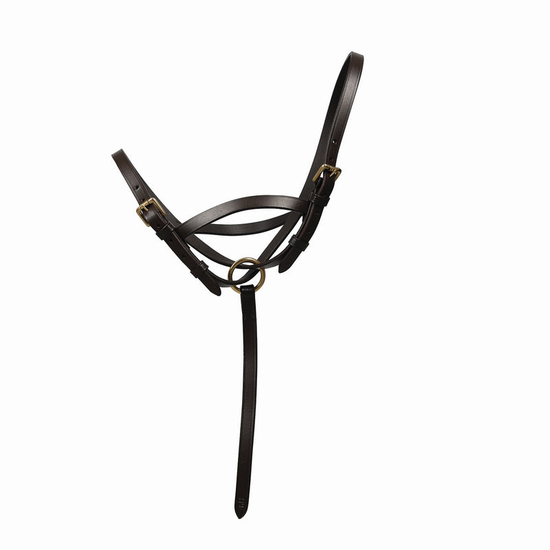 Load image into Gallery viewer, Hy Equestrian Leather Foal Slip Brown
