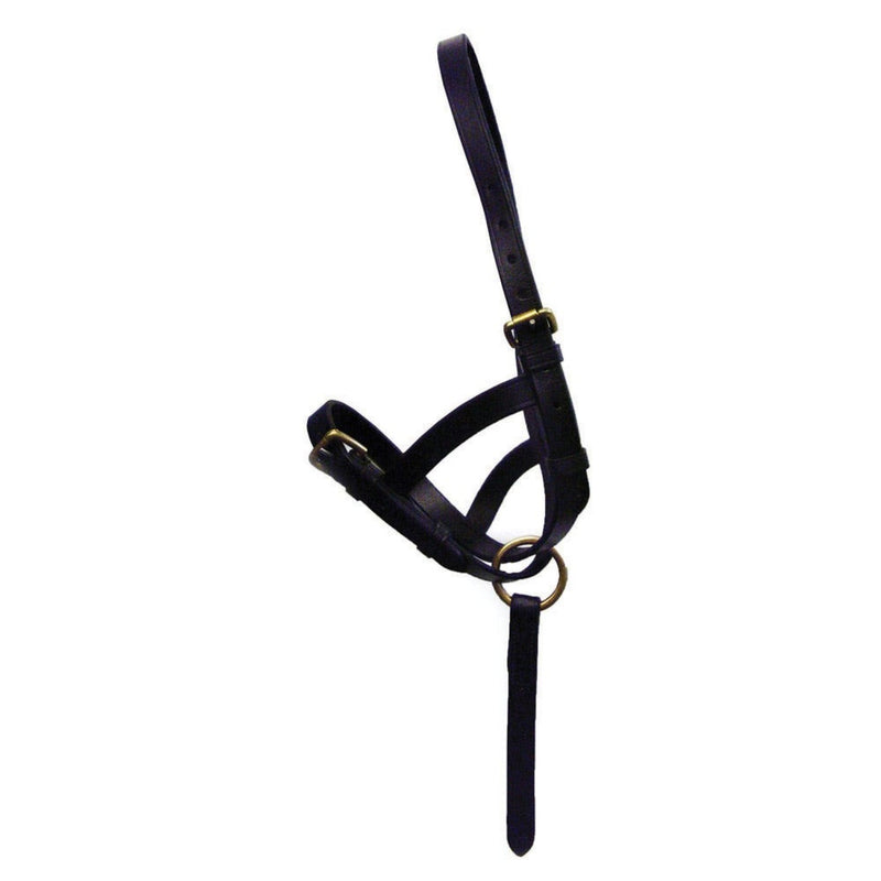Load image into Gallery viewer, Hy Equestrian Leather Foal Slip Black
