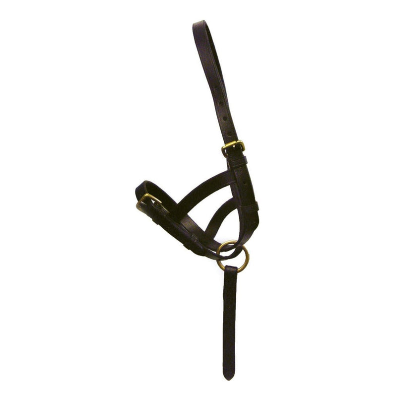 Load image into Gallery viewer, Hy Equestrian Leather Foal Slip Black
