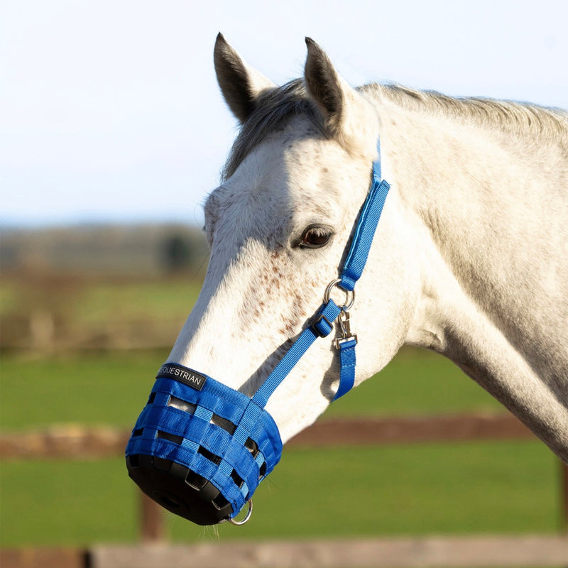 Load image into Gallery viewer, Hy Equestrian Muzzle Blue

