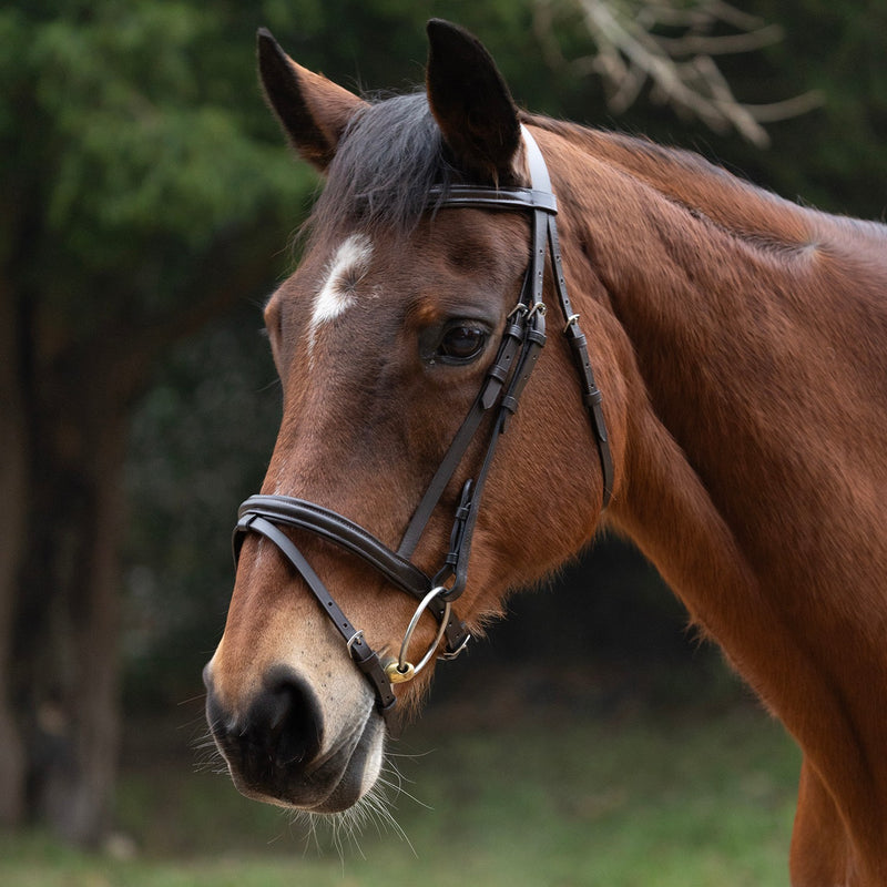 Load image into Gallery viewer, Hy Equestrian Padded Flash Bridle With Rubber Reins Brown
