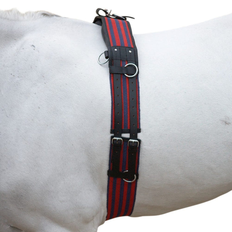 Load image into Gallery viewer, Hy Equestrian Training Roller
