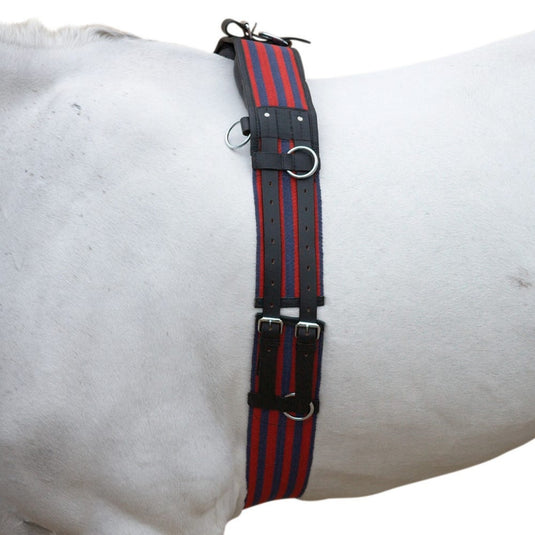 Hy Equestrian Training Roller