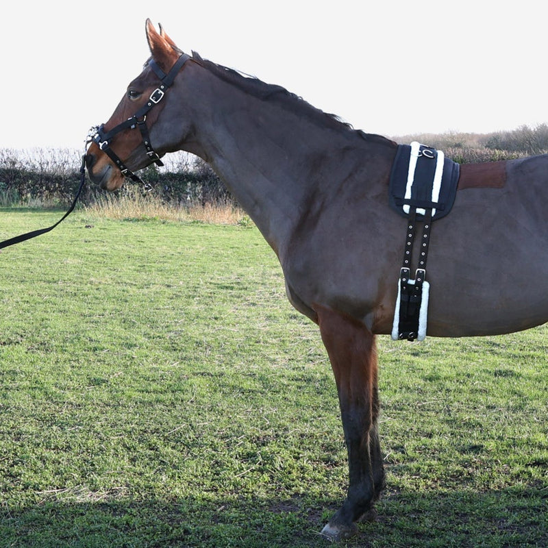 Load image into Gallery viewer, Hy Equestrian Lunge Roller Black
