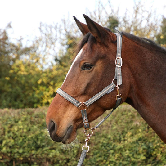 Hy Equestrian Rose Glitter Headcollar & Lead Rope Grey