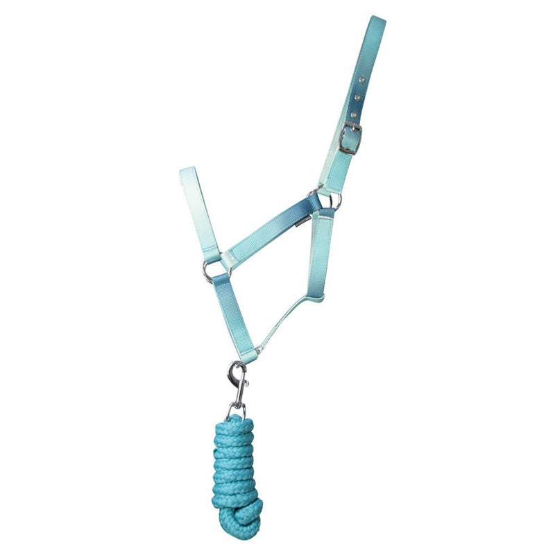 Load image into Gallery viewer, Hy Equestrian Ombre Headcollar &amp; Lead Rope Teal
