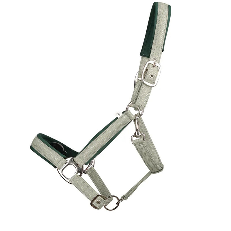Load image into Gallery viewer, Hy Equestrian Mermaid Shimmer Headcollar &amp; Lead Rope Mnt Grn
