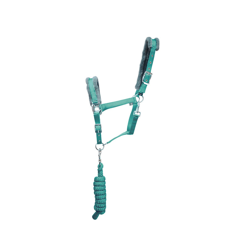 Load image into Gallery viewer, Hy Sport Active Headcollar &amp; Lead Rope Spearmint Green/Grey
