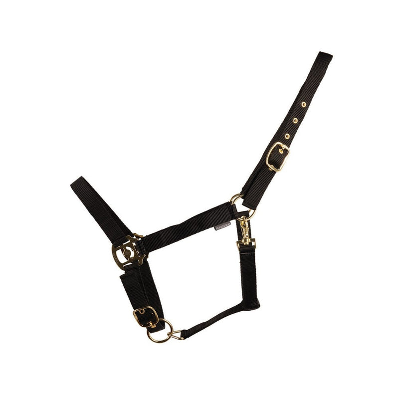 Load image into Gallery viewer, Hyconic Headcollar Black
