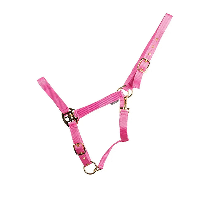 Load image into Gallery viewer, Hyconic Headcollar Pink

