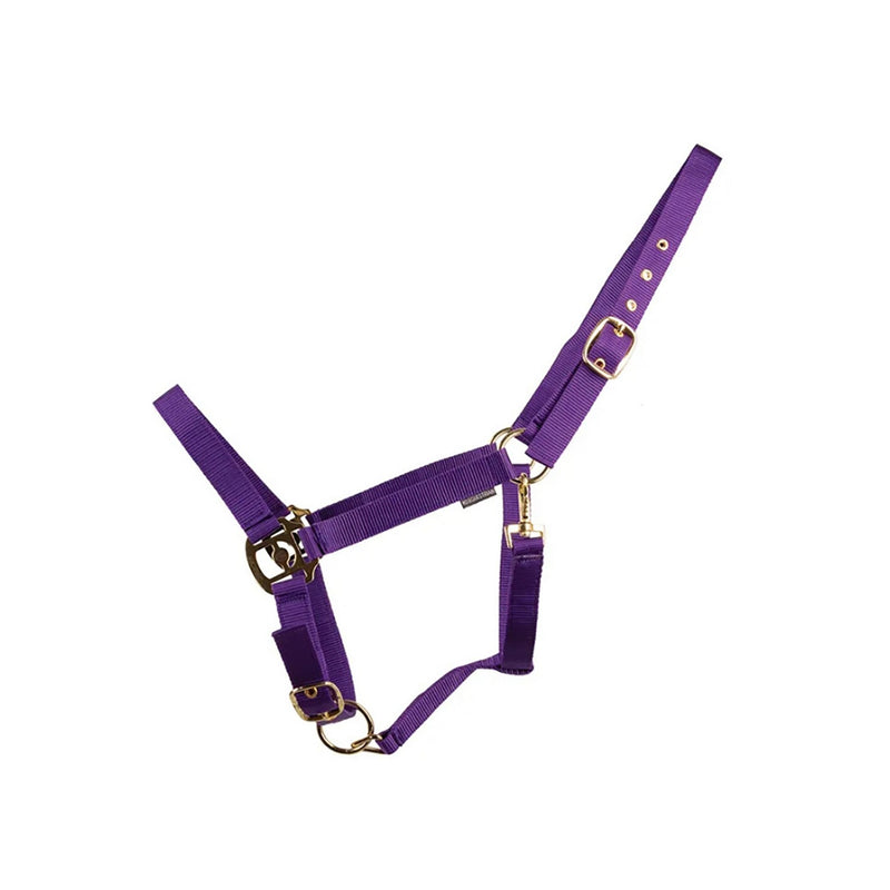 Load image into Gallery viewer, Hyconic Headcollar Purple
