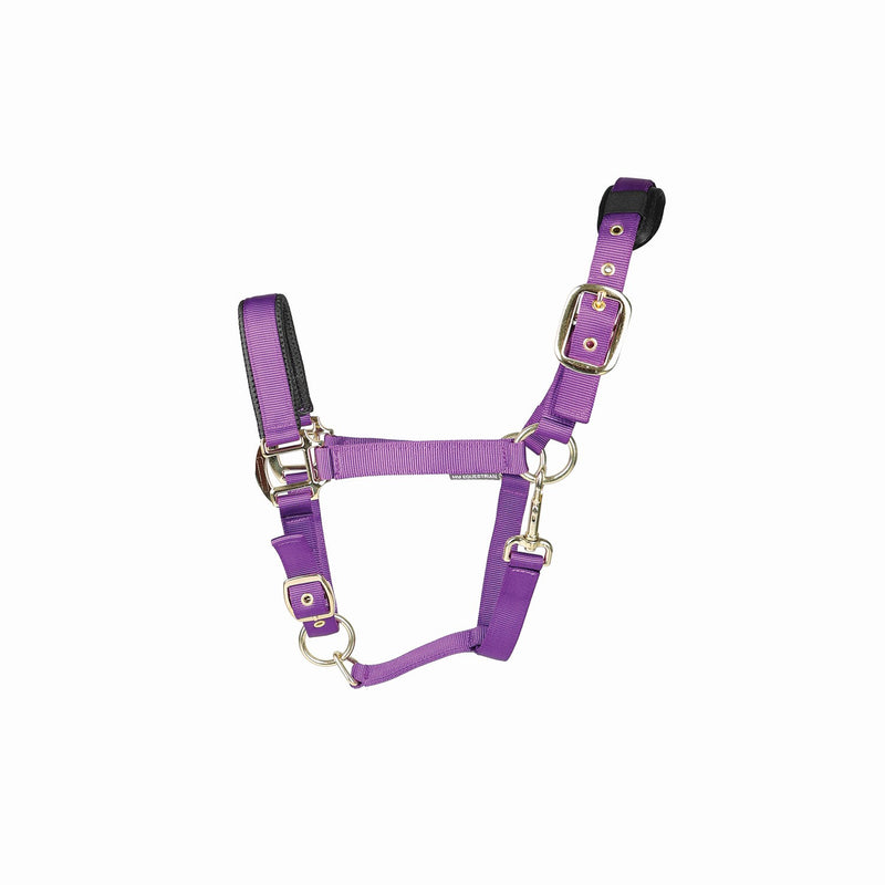 Load image into Gallery viewer, Hy Equestrian Deluxe Padded Headcollar Purple
