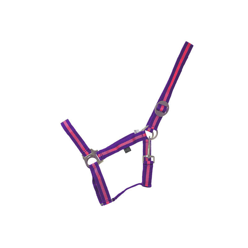 Load image into Gallery viewer, Hy Equestrian Duo Headcollar Purple/Fuchsia
